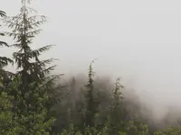 collaboration jacket