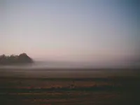 Ferrari A4 Avant Quattro Accessory